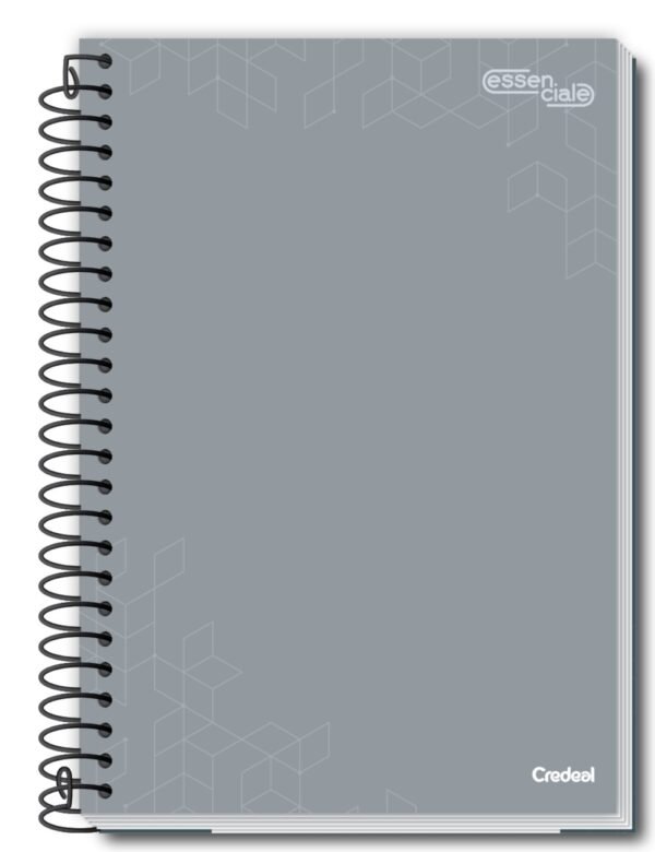 Caderno Escolar 1/4 1 Mat 80Fls Capas Sortidas 1/4 Pct 5un Credeal - Image 5