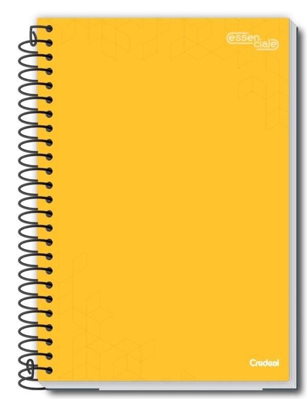 Caderno Escolar 1/4 1 Mat 80Fls Capas Sortidas 1/4 Pct 5un Credeal - Image 6