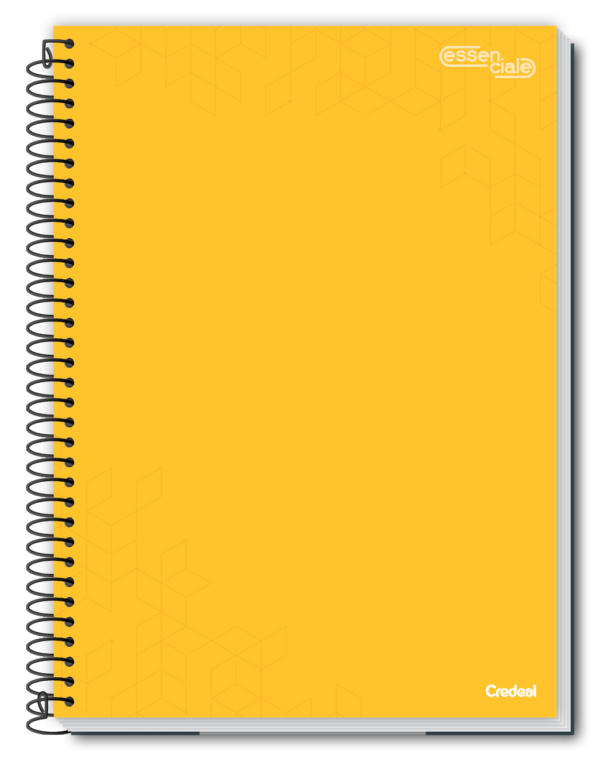 Caderno Univ 10 Mat 160 Fls Essenciale Cores Sortidas c/ 3un - Image 4