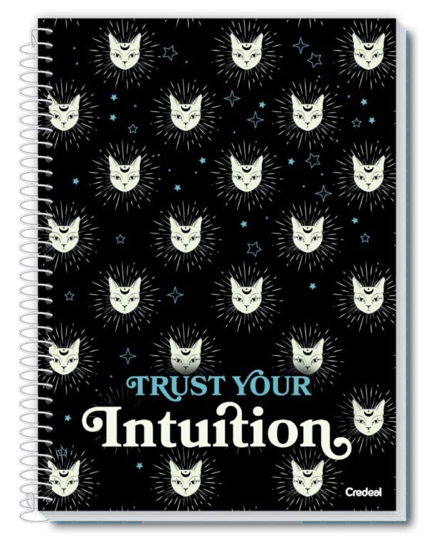 Caderno Univ 1 Mat 80 Fls My Collection Feminino Pct c/ 4un