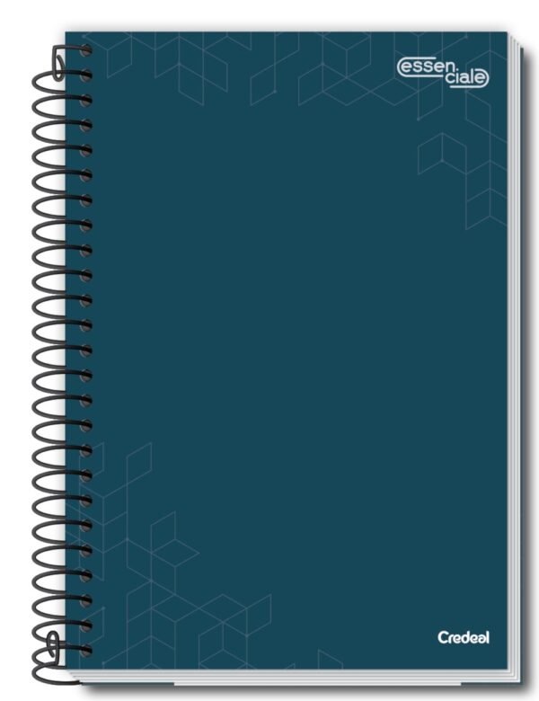 Caderno Escolar 1/4 1 Mat 80Fls Capas Sortidas 1/4 Pct 5un Credeal