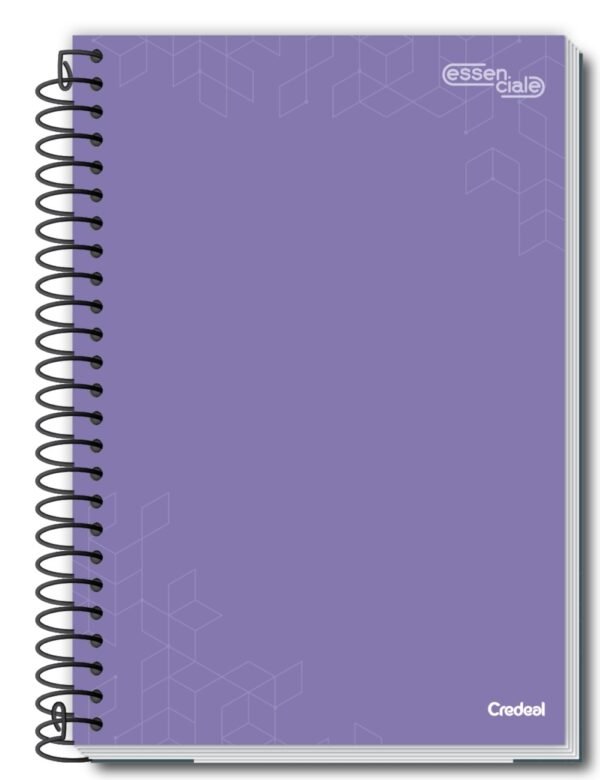 Caderno Escolar 1/4 1 Mat 80Fls Capas Sortidas 1/4 Pct 5un Credeal - Image 8