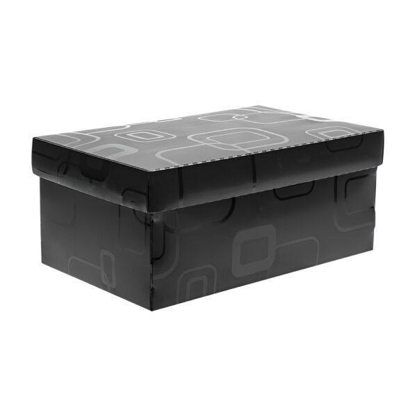 Caixa Organizadora Mini Sapato Dello - Image 2