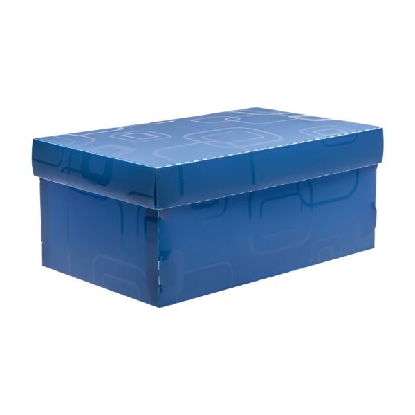 Caixa Organizadora Mini Sapato Dello - Image 4